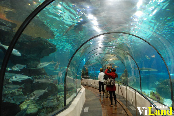 khu-vinpearl-aquarium-times-city